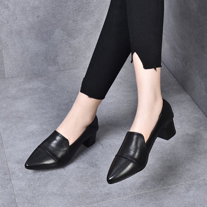 Luksusowe szpiczaste buty damskie - Shivani