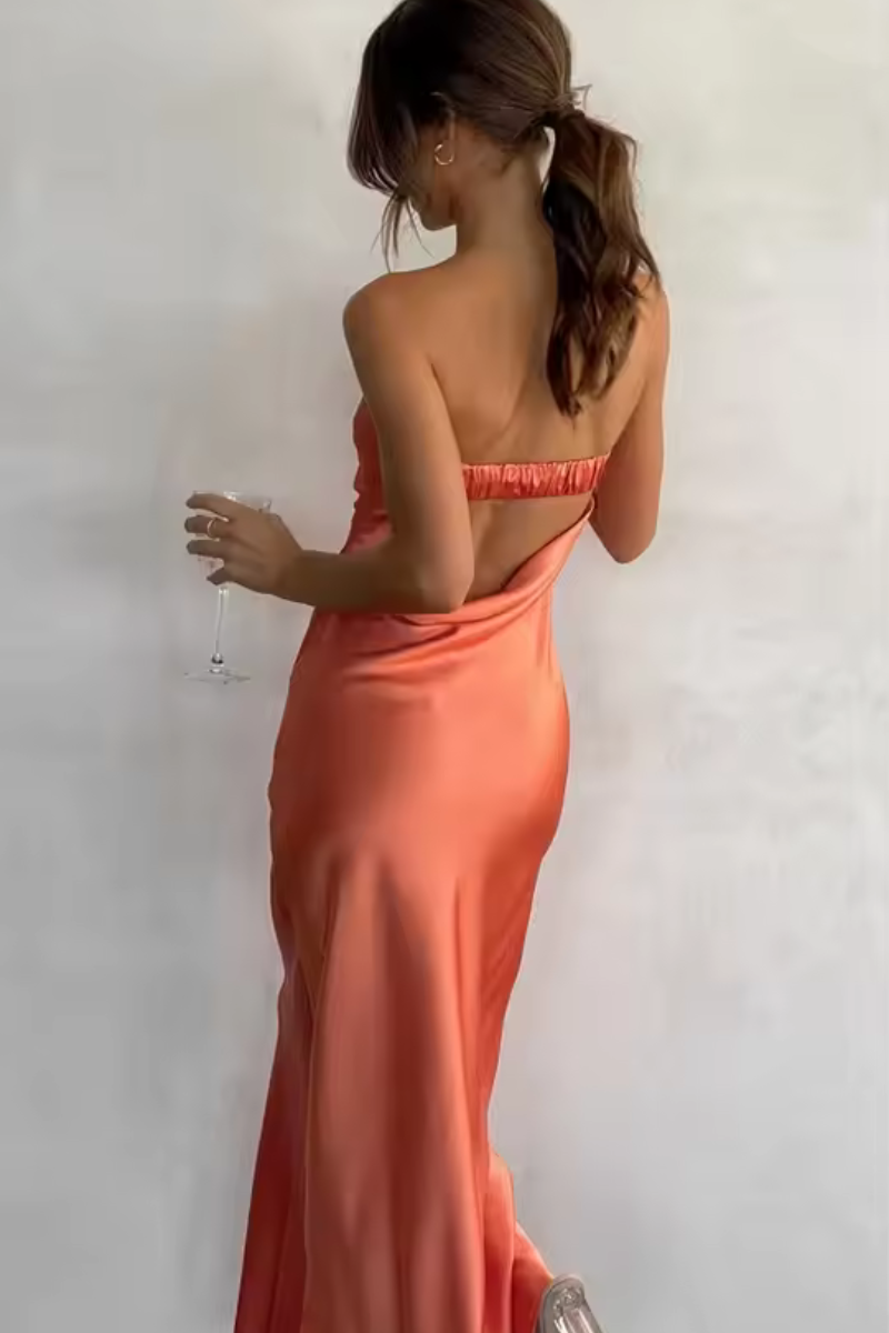 Thalia | Summer Tube Top Long Dress